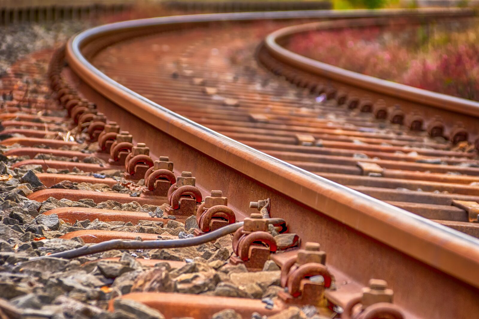 Canon EOS 60D sample photo. Rails, railroad tracks, track photography