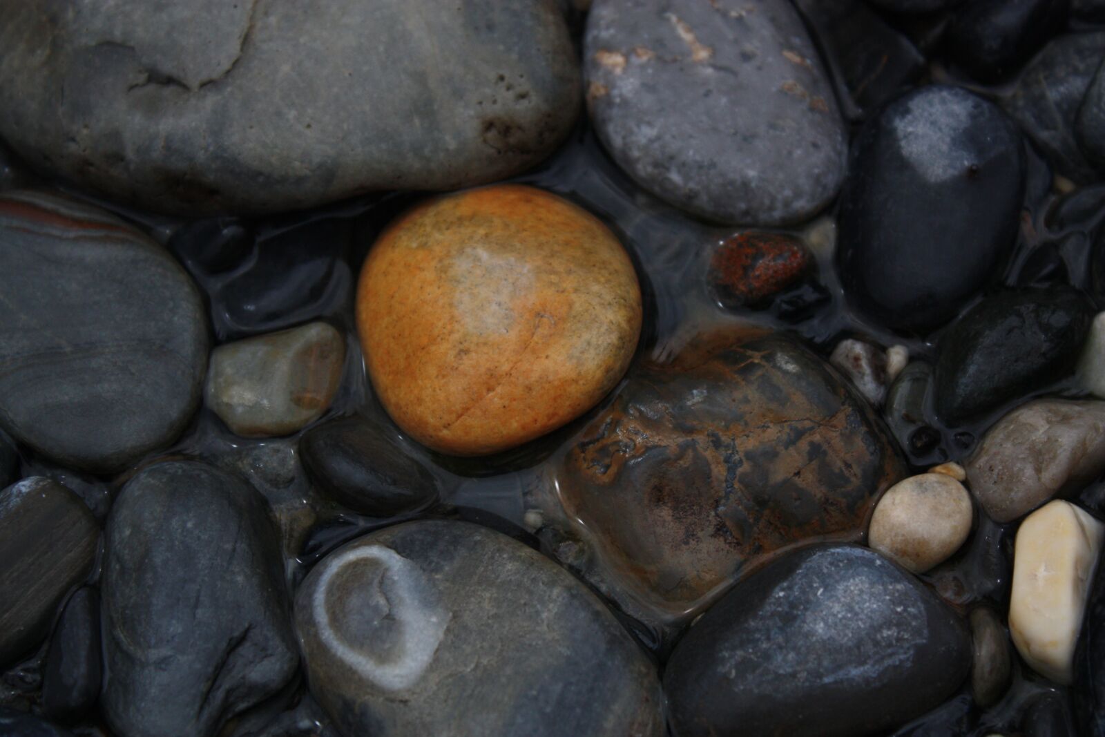 Canon EOS 450D (EOS Rebel XSi / EOS Kiss X2) sample photo. Pebble, creek, water photography