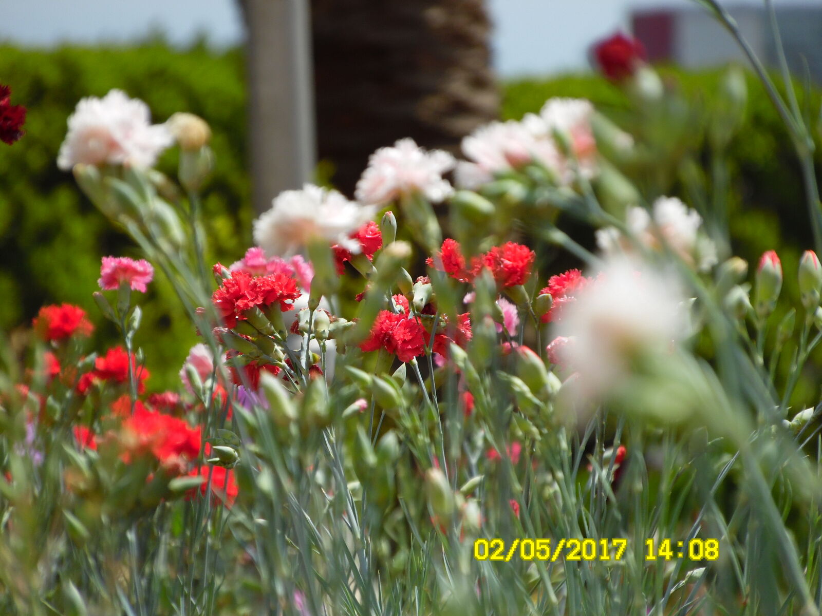 Samsung WB1100F/WB1101F/WB1102F sample photo