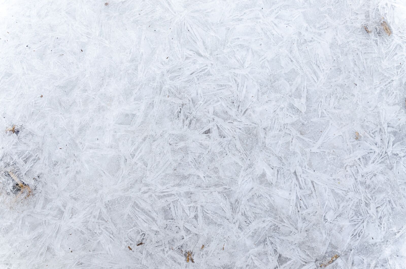 Nikon D5100 sample photo. Pattern, winter, cold photography
