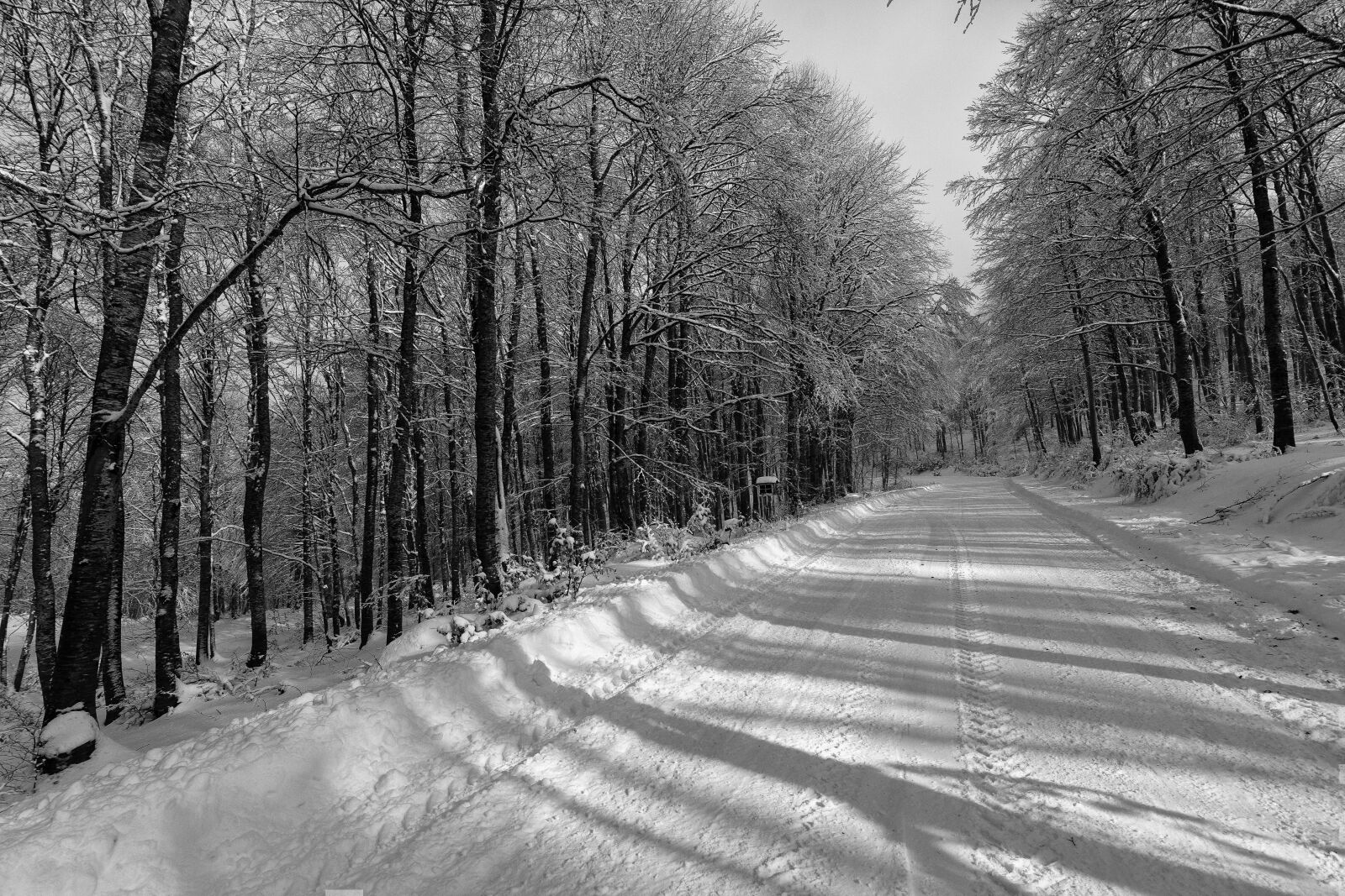 Nikon D5300 sample photo. Snow, road, vitsi photography