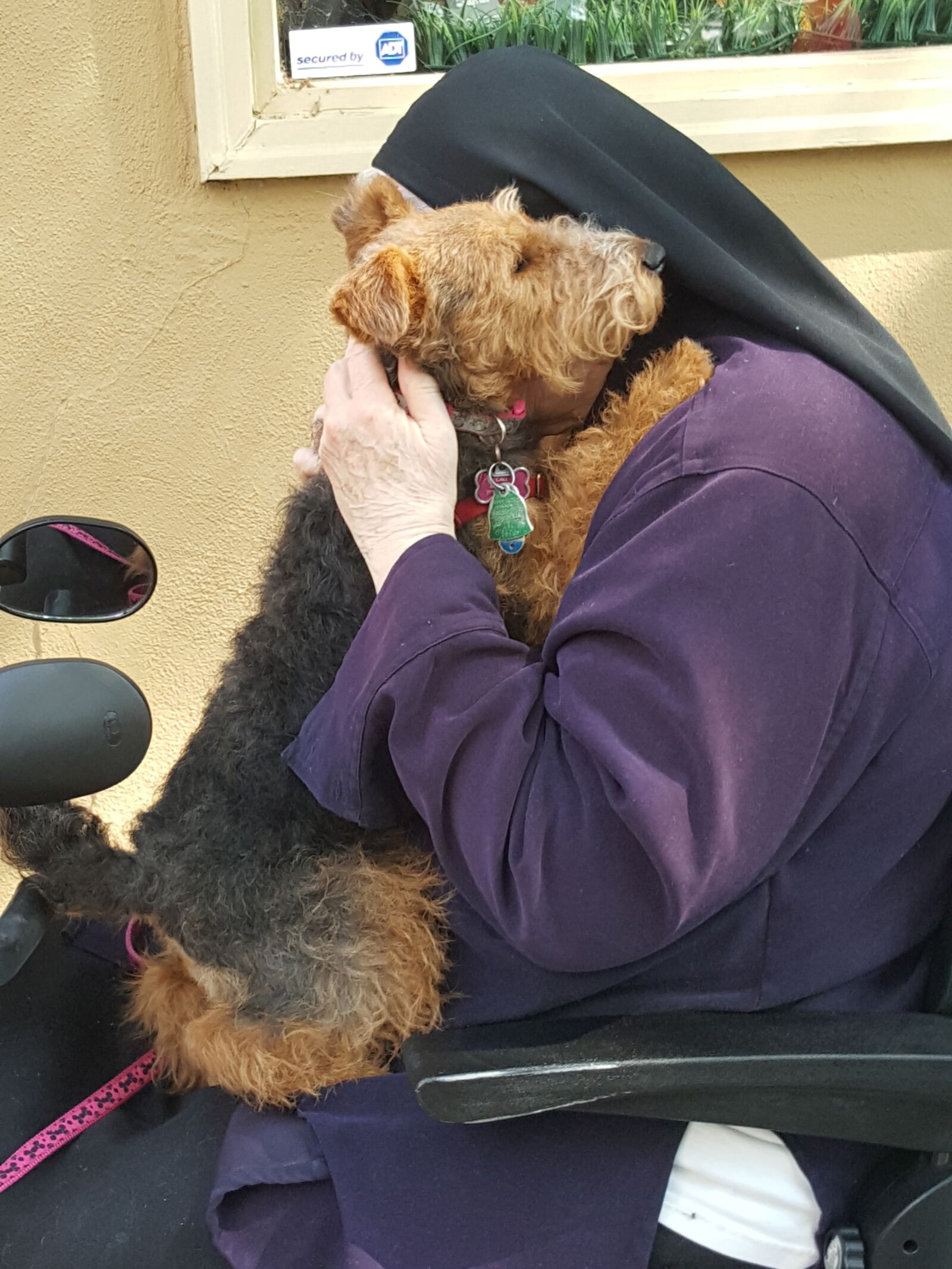 Samsung Galaxy Note5 sample photo. Dog, blessing, love photography