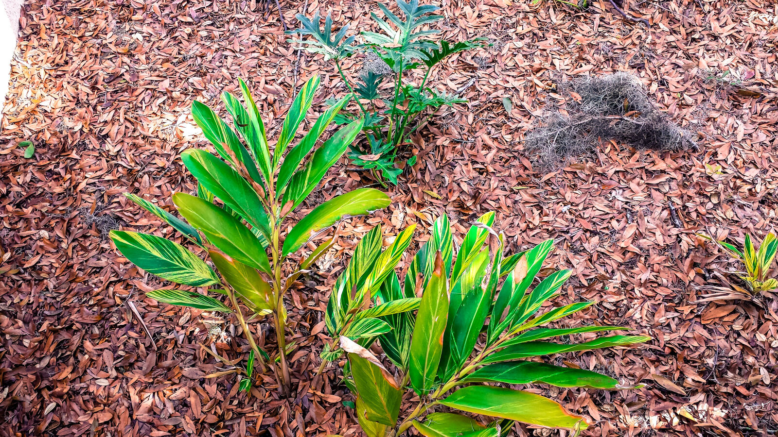 Samsung Galaxy S4 sample photo. Ground, nature, nature, photography photography