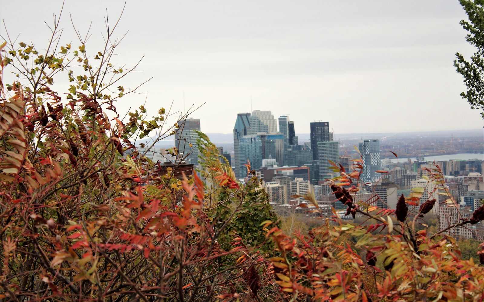 Canon EOS 650D (EOS Rebel T4i / EOS Kiss X6i) sample photo. Fall, montreal, quebec photography