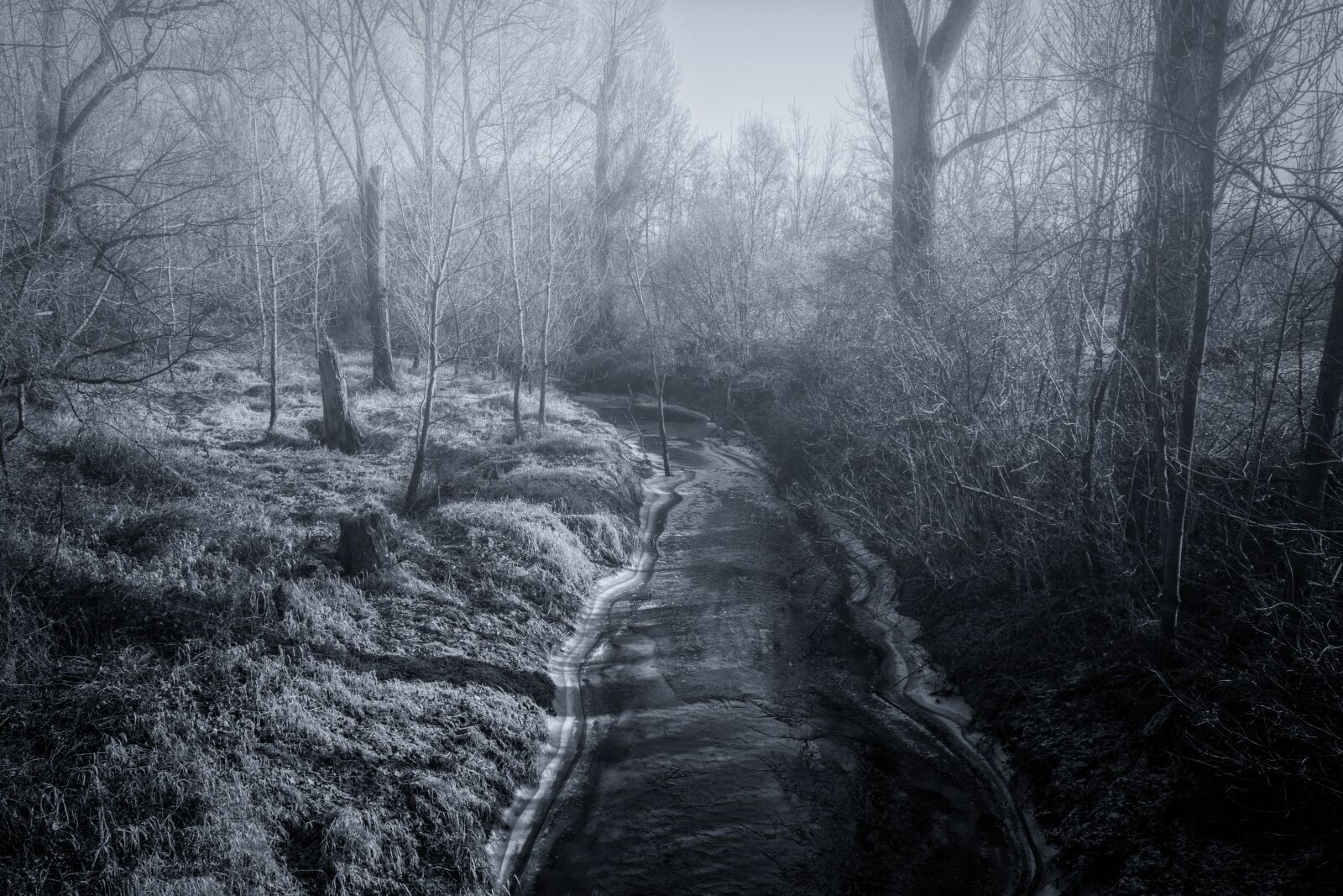 Nikon D3300 sample photo. River, frozen, fog photography