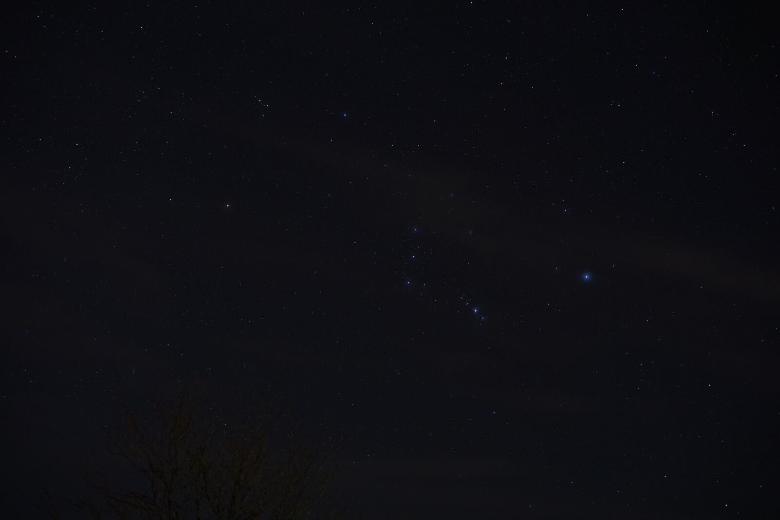 Sony a7 II sample photo. Orion, stars, constellation photography