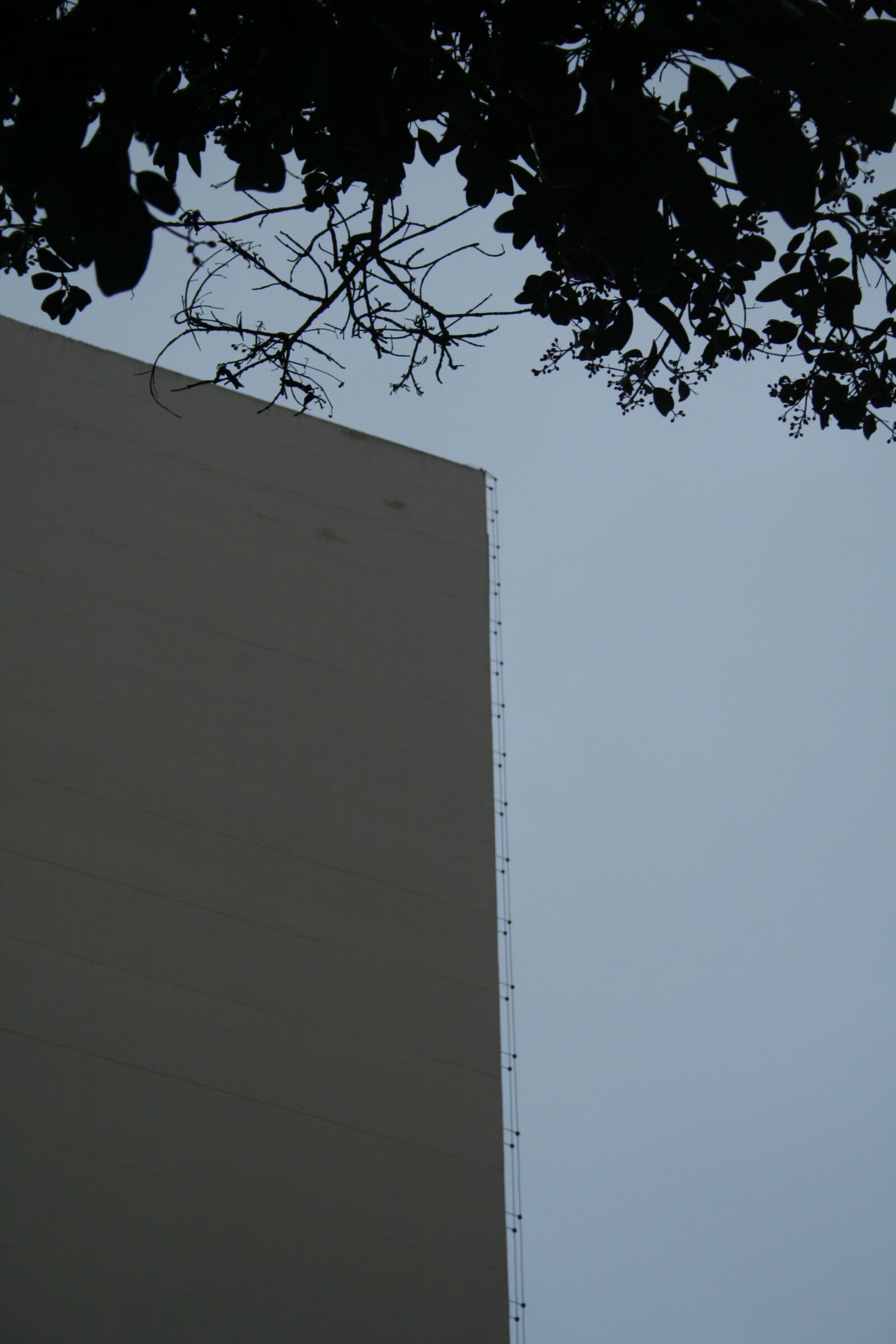 Canon EOS 350D (EOS Digital Rebel XT / EOS Kiss Digital N) sample photo. Contrast, city, sustainability photography