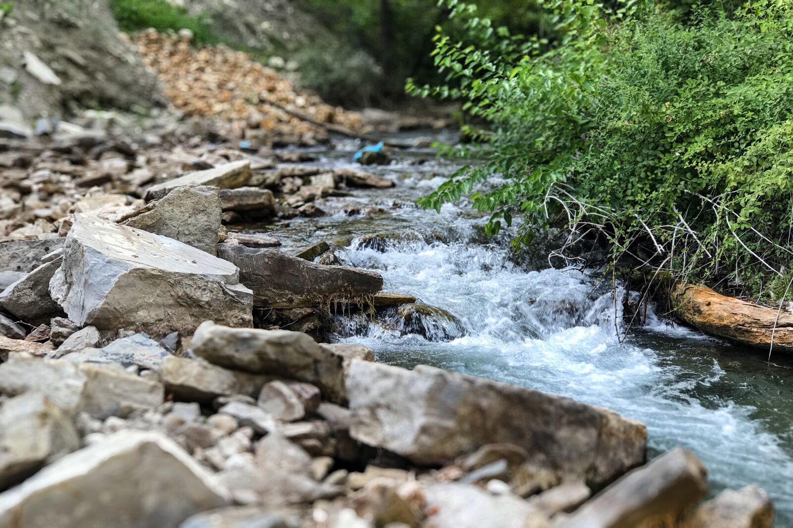 iPhone 7 Plus back dual camera 6.6mm f/2.8 sample photo. Dd, water, green photography