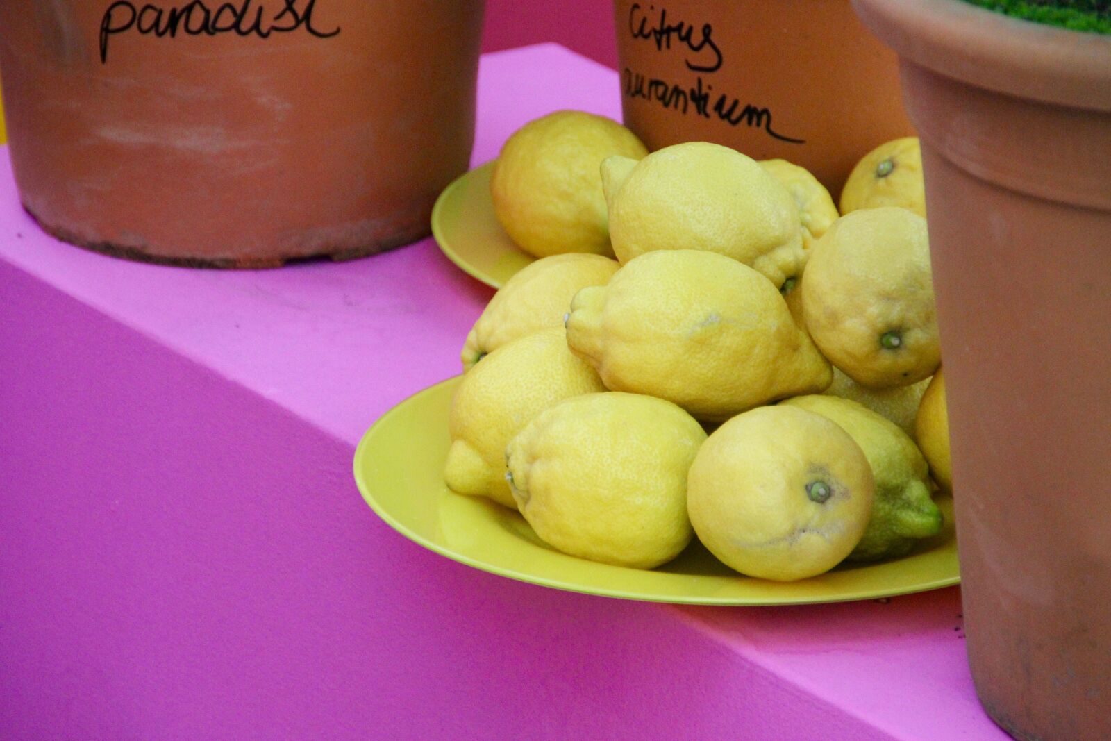 Canon EOS 60D sample photo. Lemons, zitronendeko, yellow photography