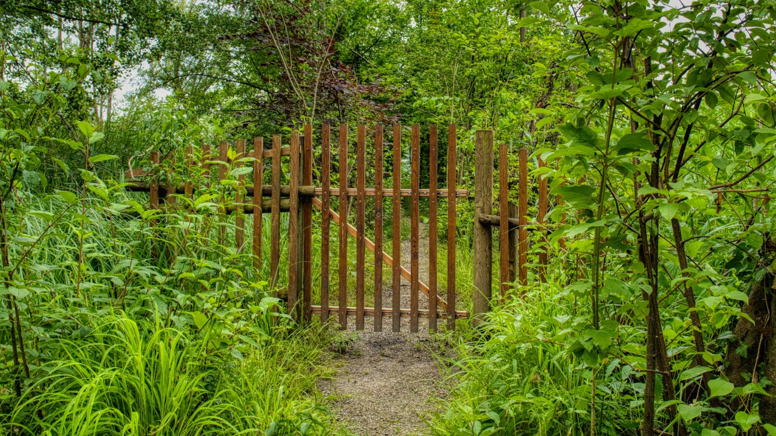 Nikon D7500 sample photo. Garden gate, wood, goal photography
