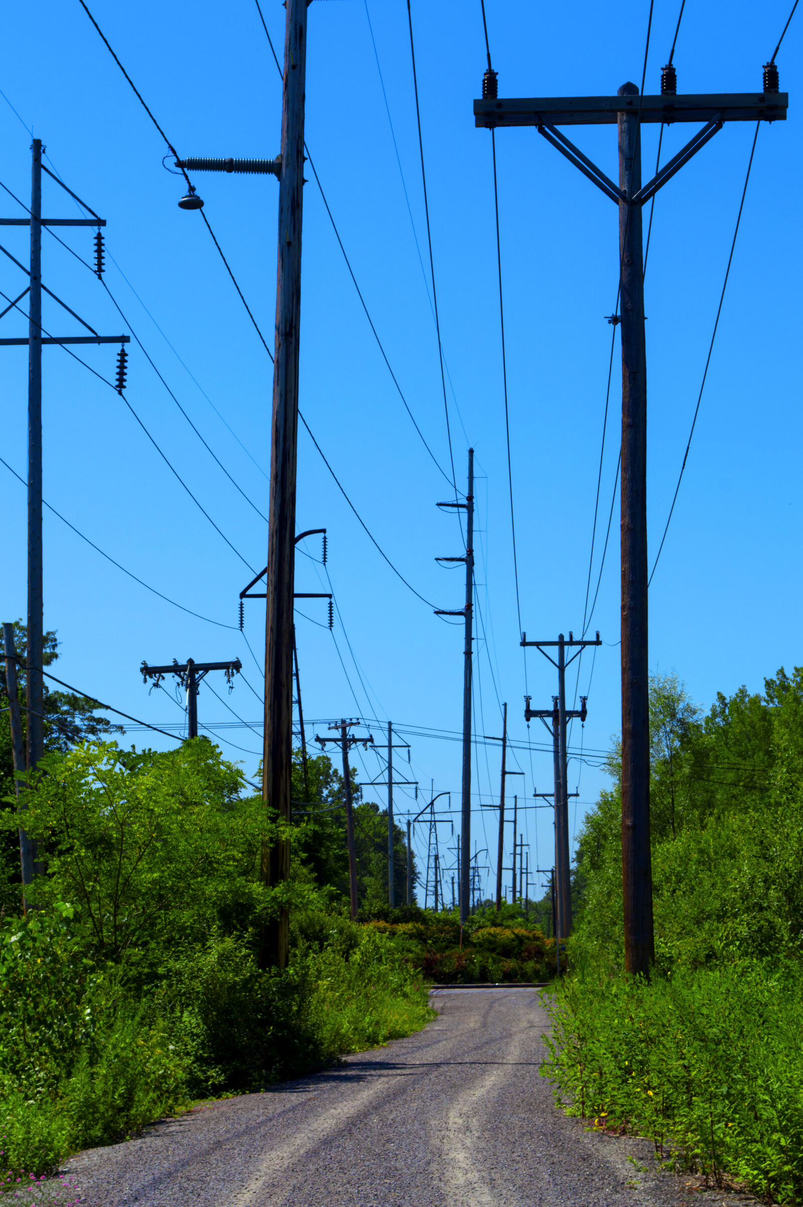 Nikon D3200 sample photo. Blue, blue, sky, clear photography