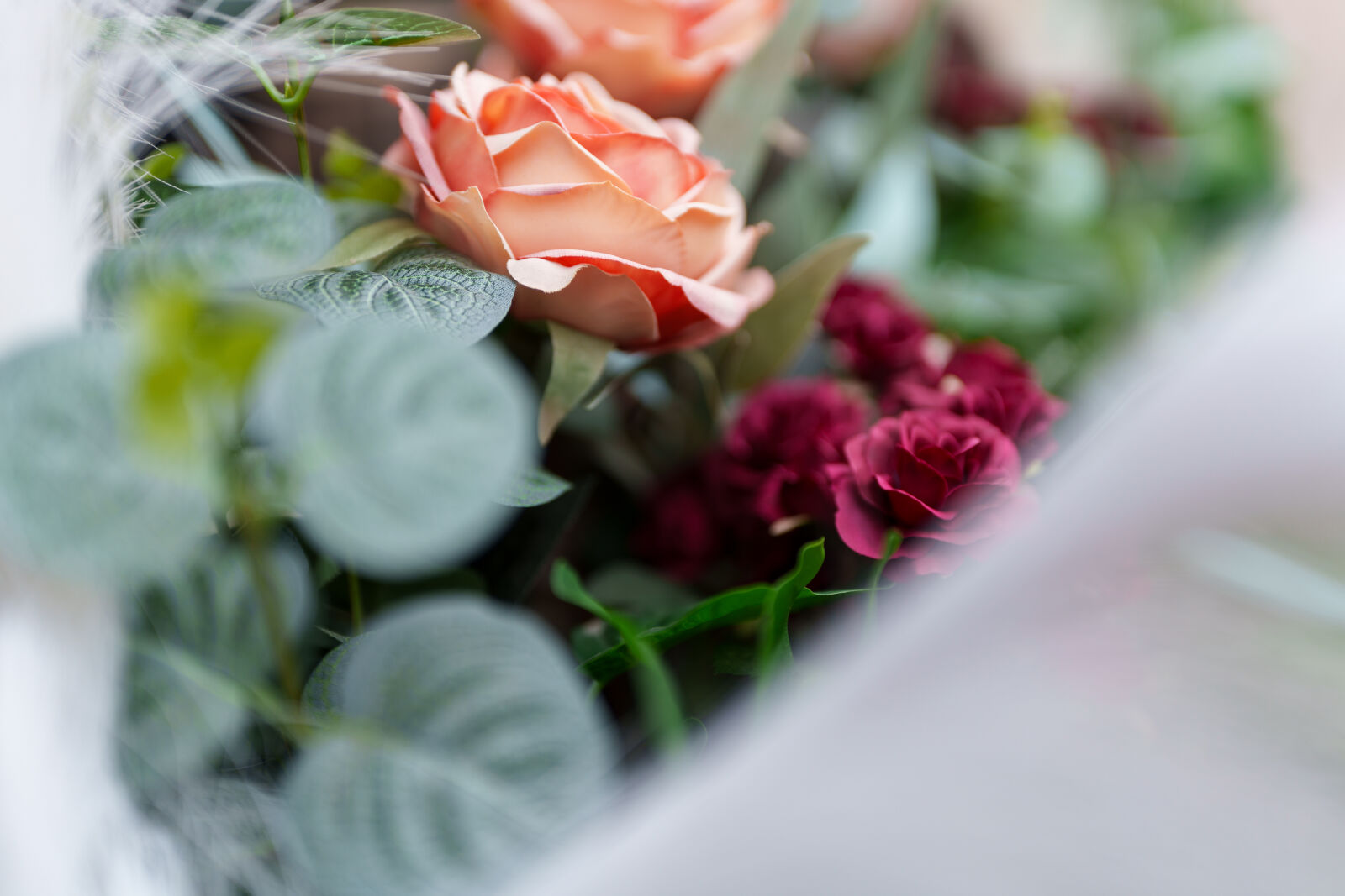 Sony a7R V sample photo. Flower bokeh photography