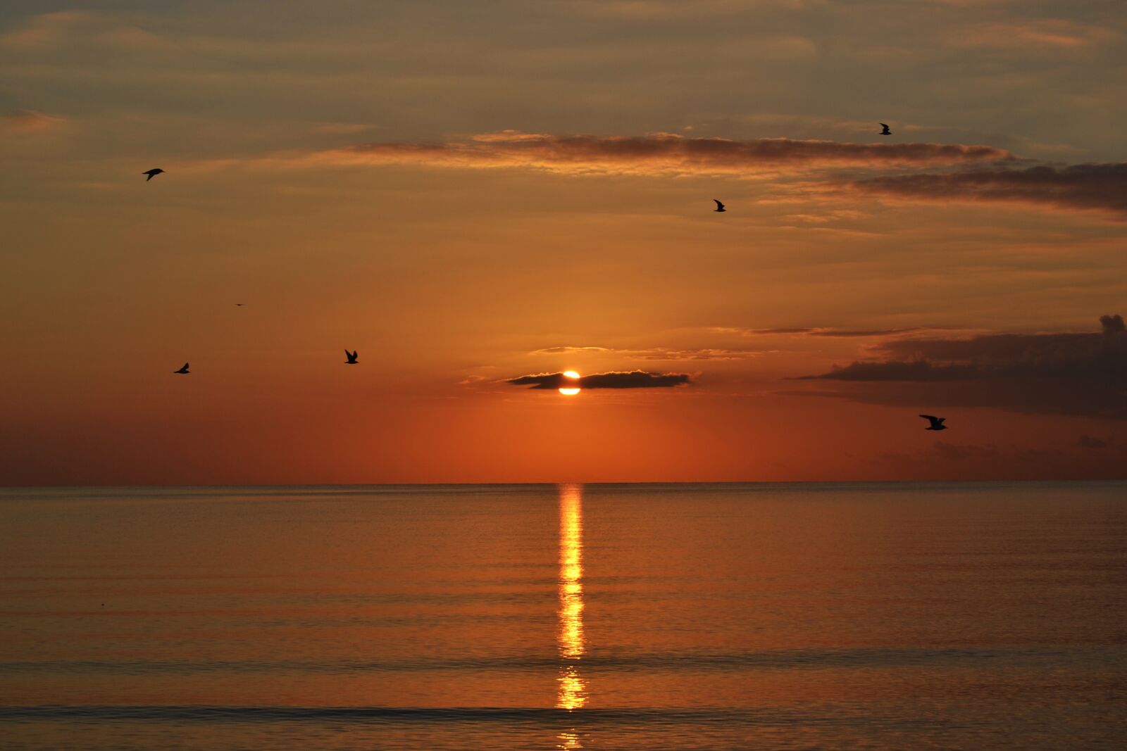 Nikon D3100 sample photo. Sunset, sun, landscape photography