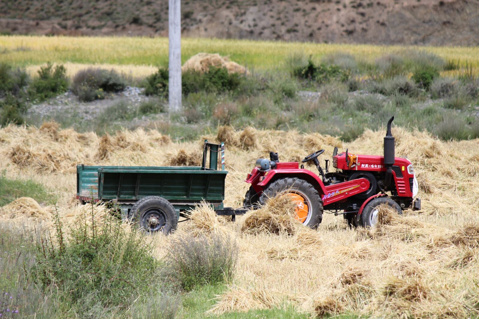 Canon EOS 600D (Rebel EOS T3i / EOS Kiss X5) sample photo. Harvest, tractor, ye tian photography