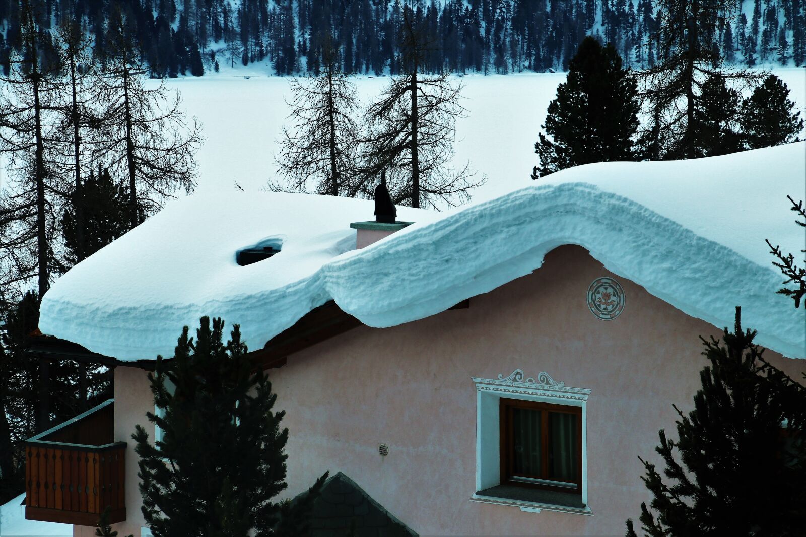 Canon EOS 80D sample photo. Snow, winter, nature photography
