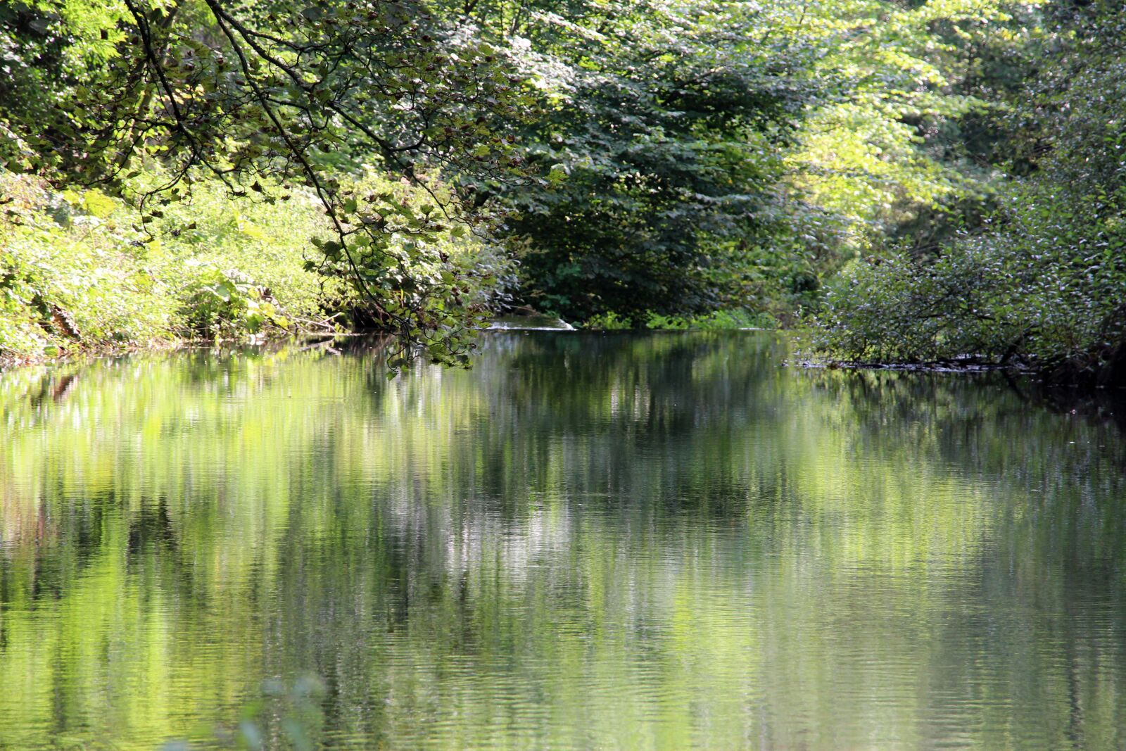 Canon EOS 700D (EOS Rebel T5i / EOS Kiss X7i) sample photo. Stream reflection, river bank photography