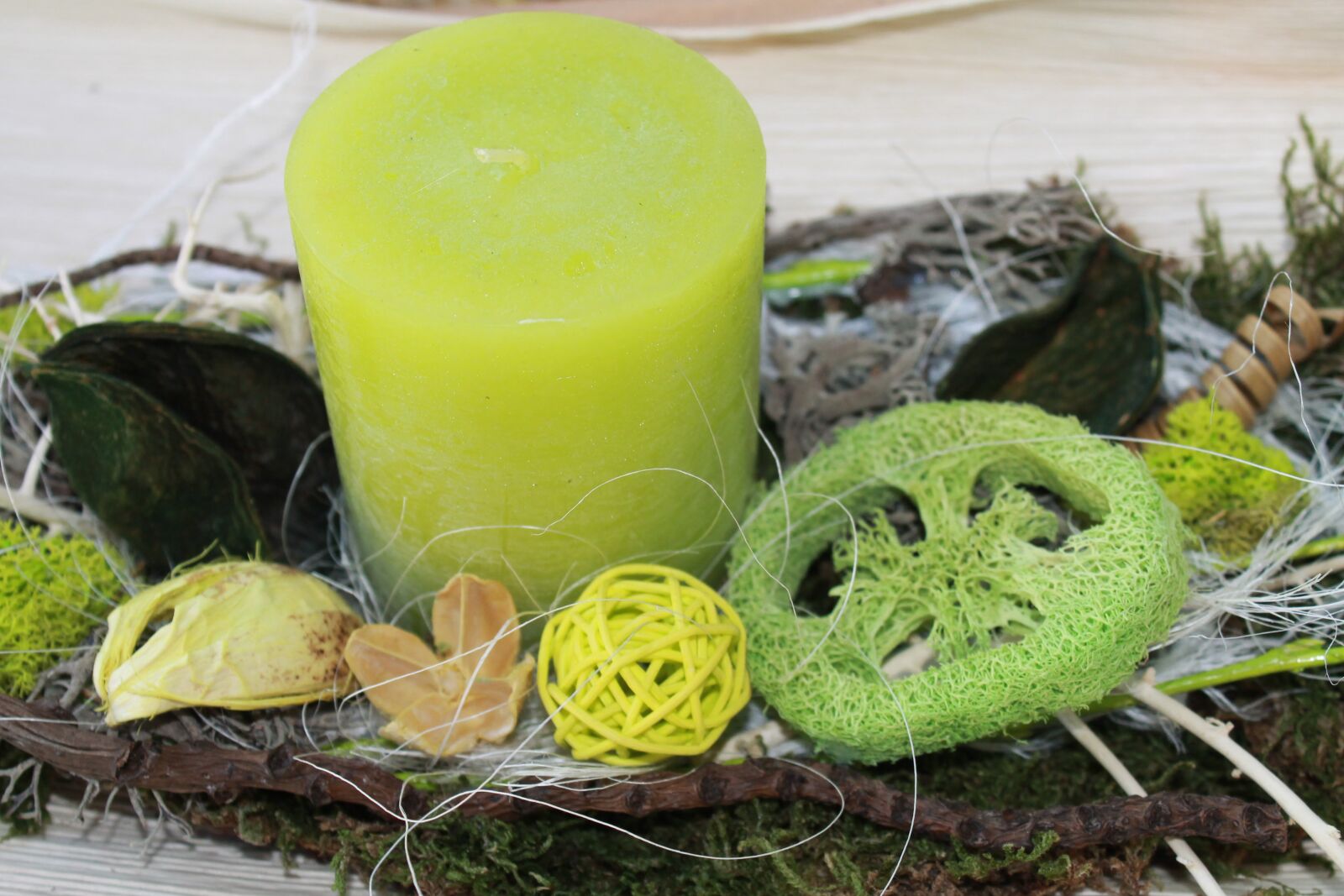 Canon EOS 1100D (EOS Rebel T3 / EOS Kiss X50) sample photo. Candle, green, nature photography