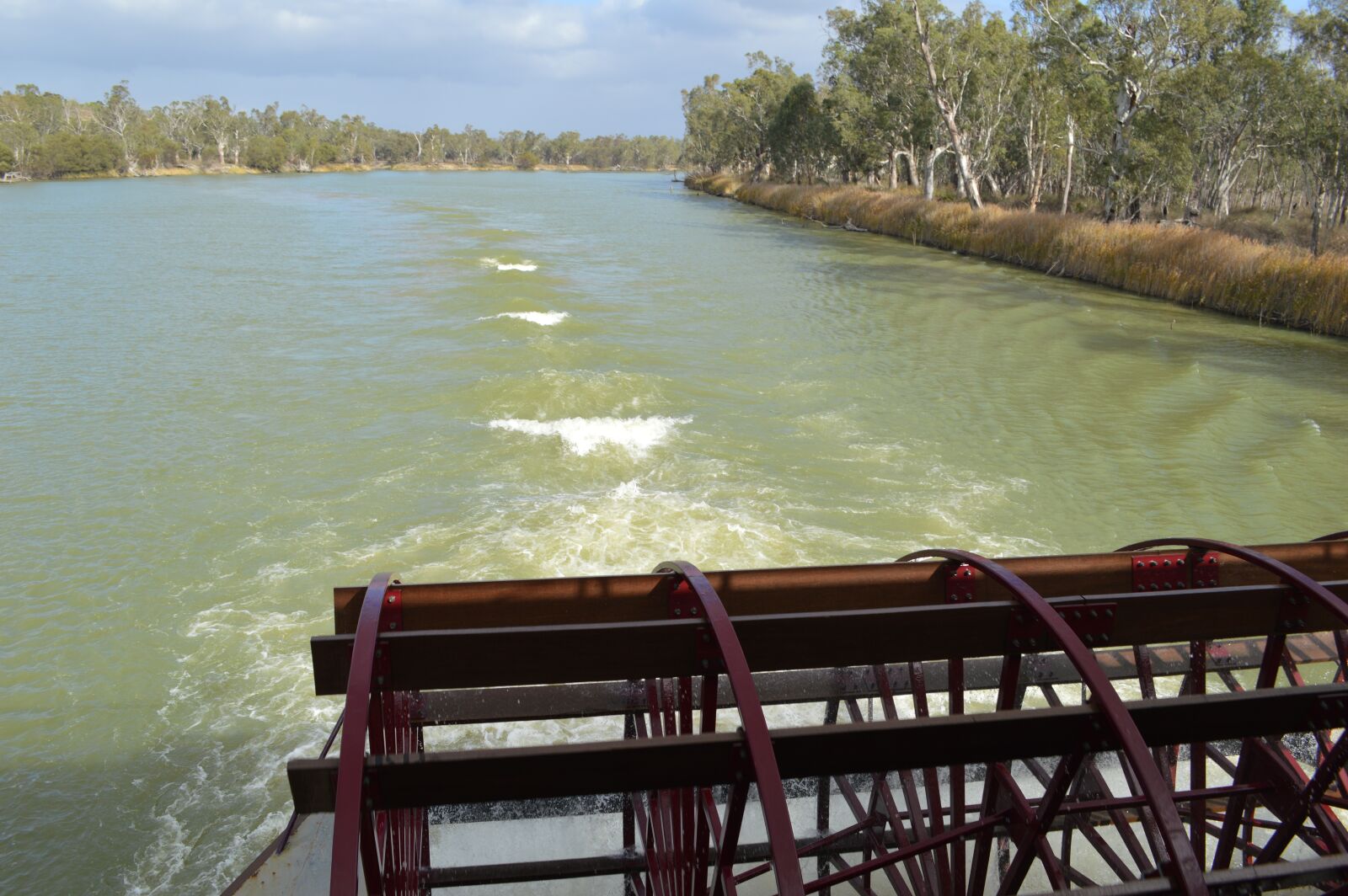 Nikon D3200 sample photo. Paddle boat, murray river photography
