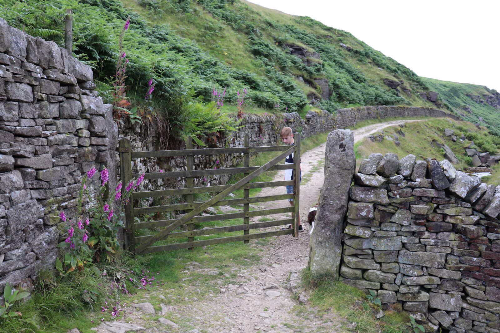 Canon EOS 77D (EOS 9000D / EOS 770D) sample photo. Hill, green, yorkshire photography