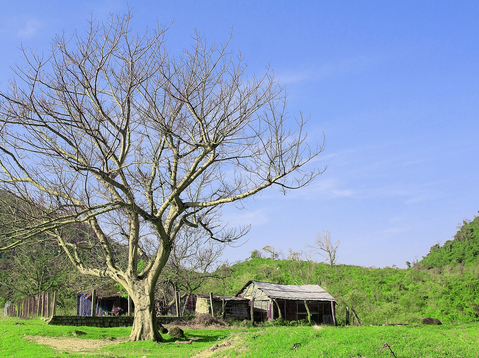 Canon EOS 450D (EOS Rebel XSi / EOS Kiss X2) sample photo. Field, cottage, landscape photography