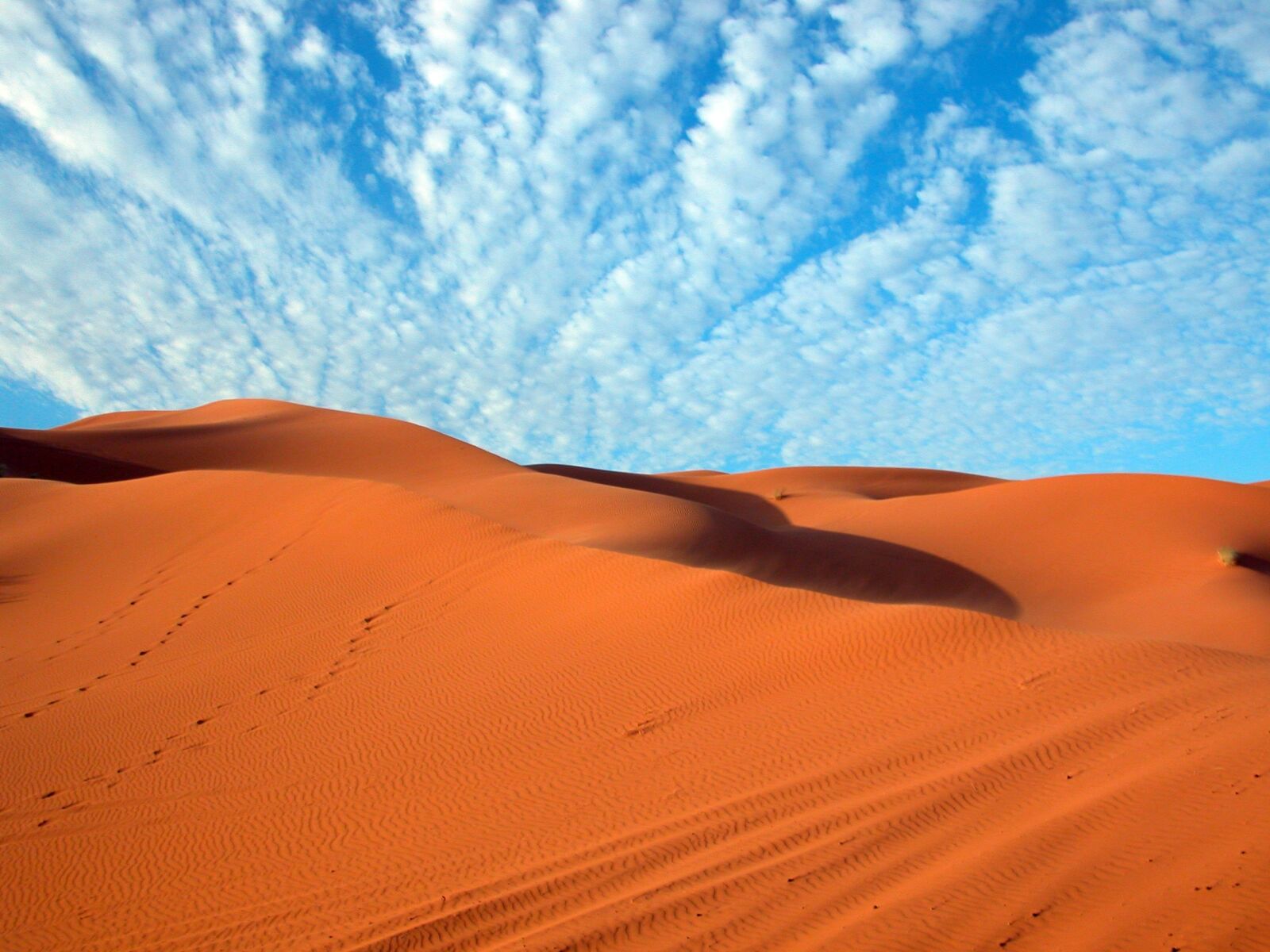 Nikon E5700 sample photo. Desert, summer, morocco photography