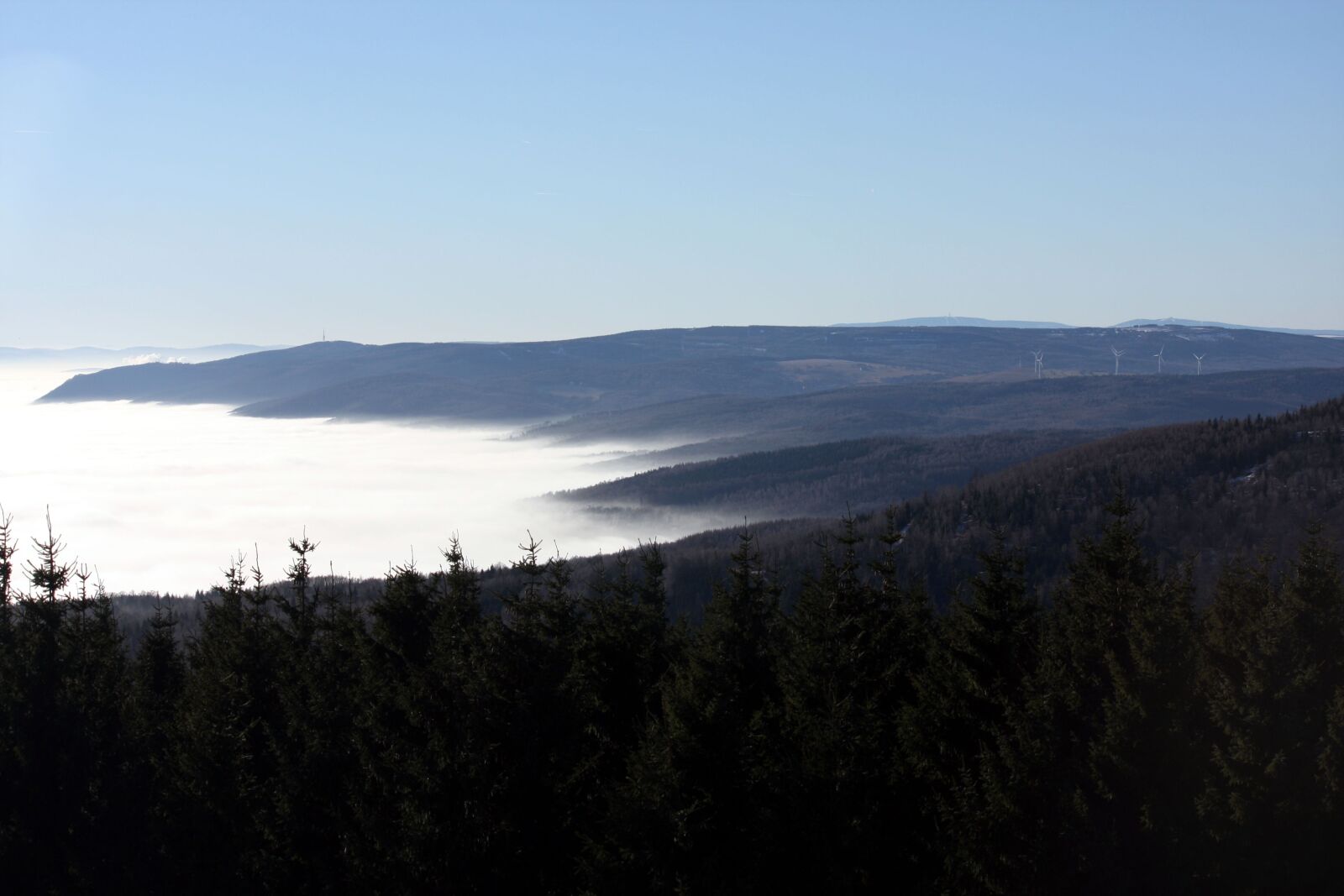 Canon EOS 40D sample photo. Inversion, the ore mountains photography