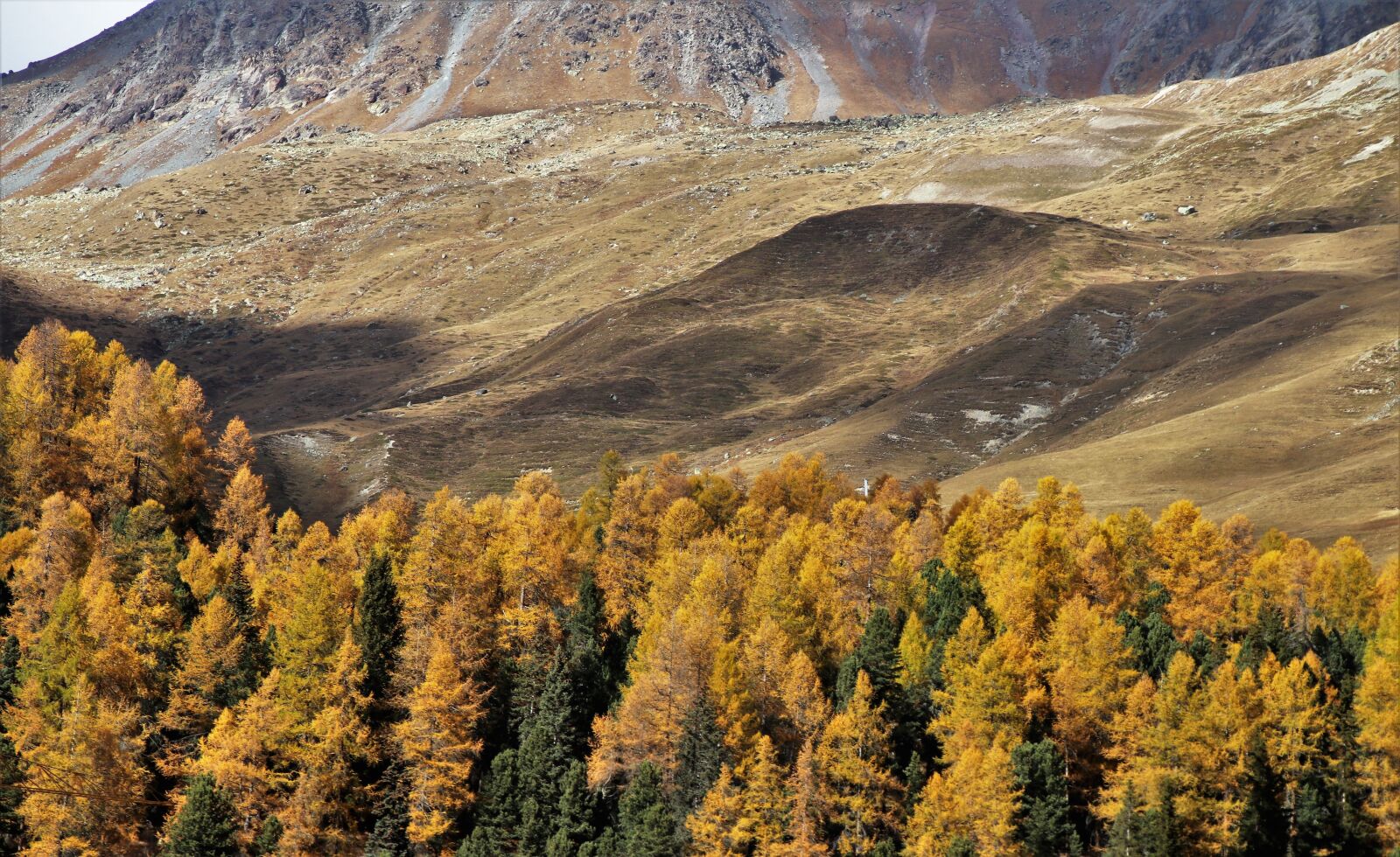 Canon EOS 80D sample photo. Autumn, mountains, tree photography