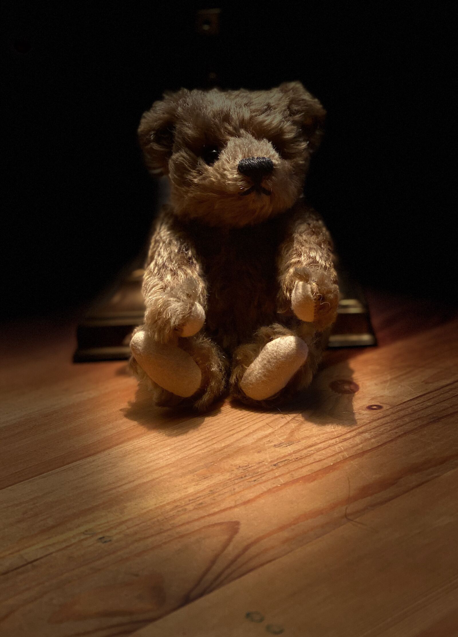 Apple iPhone 11 Pro sample photo. Teddy bear, mood, atmosphere photography