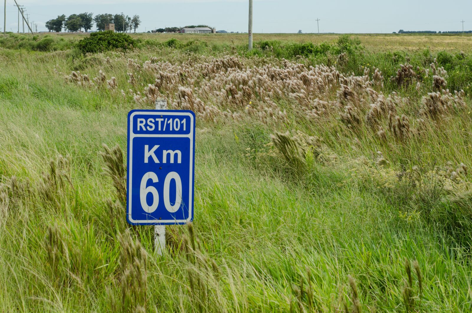 Nikon D7000 sample photo. 60 km, the road photography