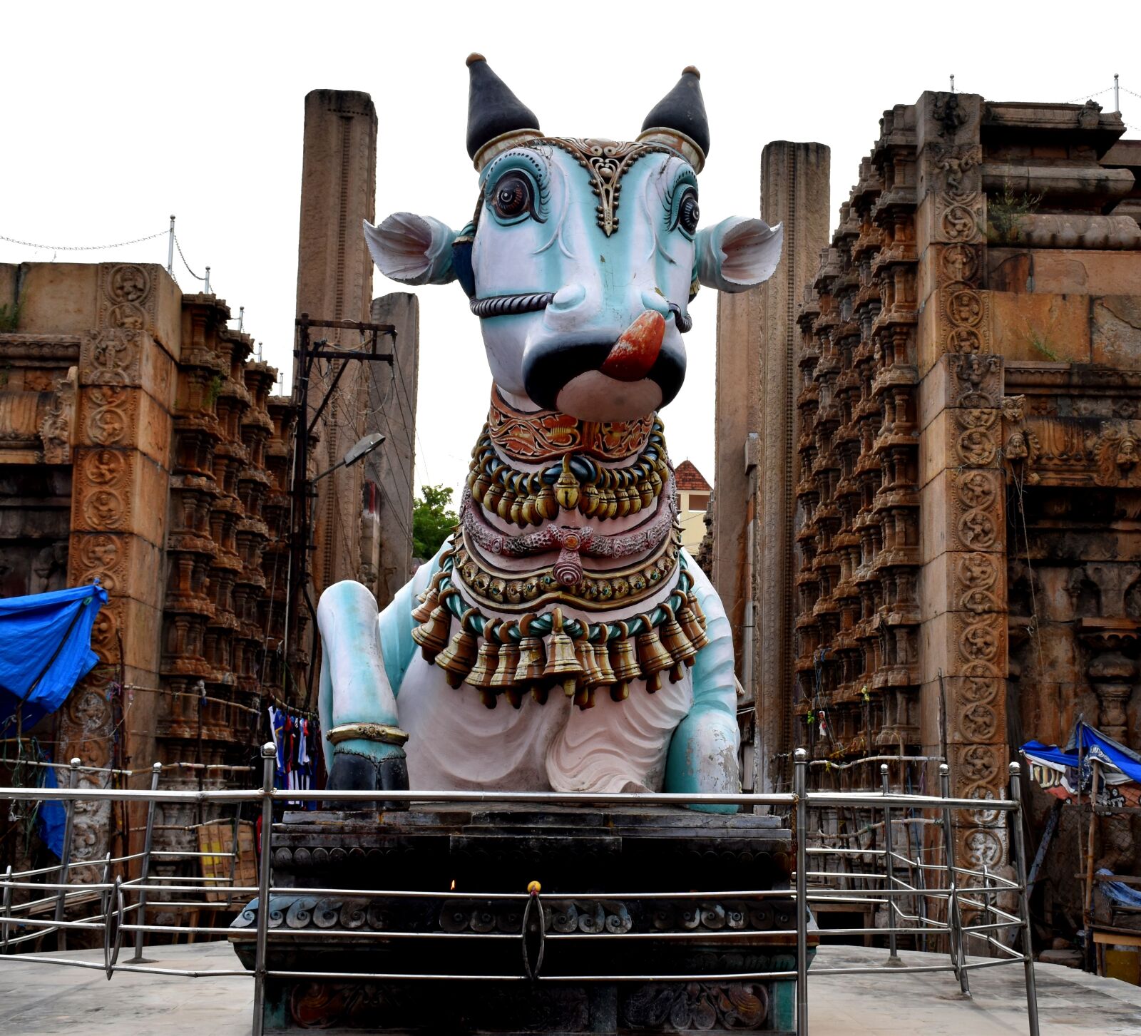 Nikon D5500 sample photo. Bull, pudumadapam, madurai photography