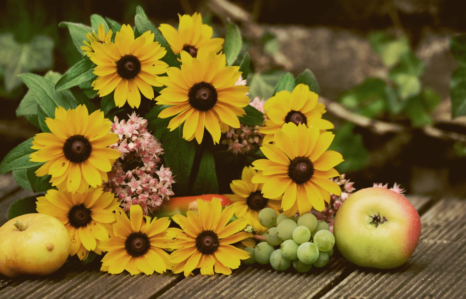 Nikon D610 sample photo. Coneflower, flowers, late summer photography