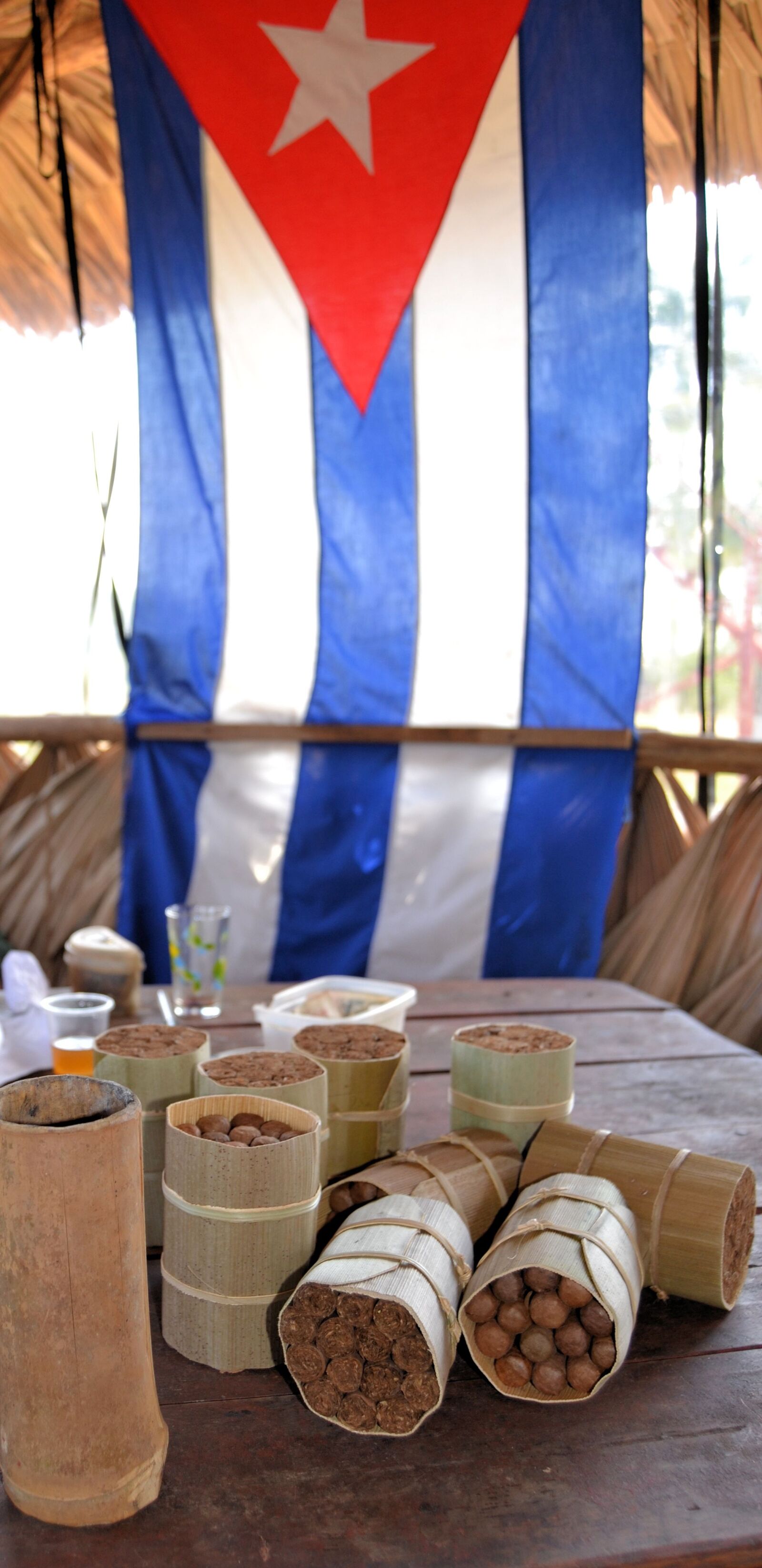 Nikon D3100 sample photo. Cuba, vinales, tobacco photography