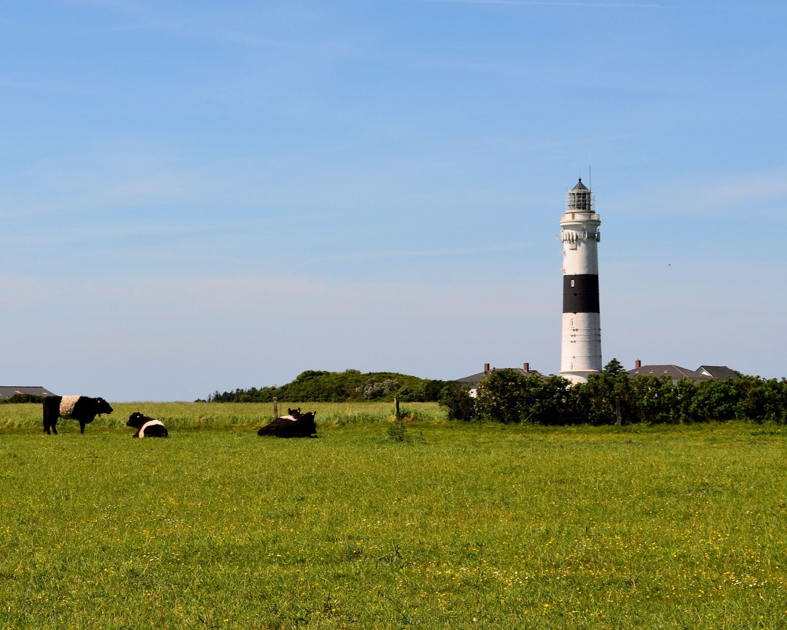 Nikon D5100 sample photo. Sylt, lighthouse, kampen photography