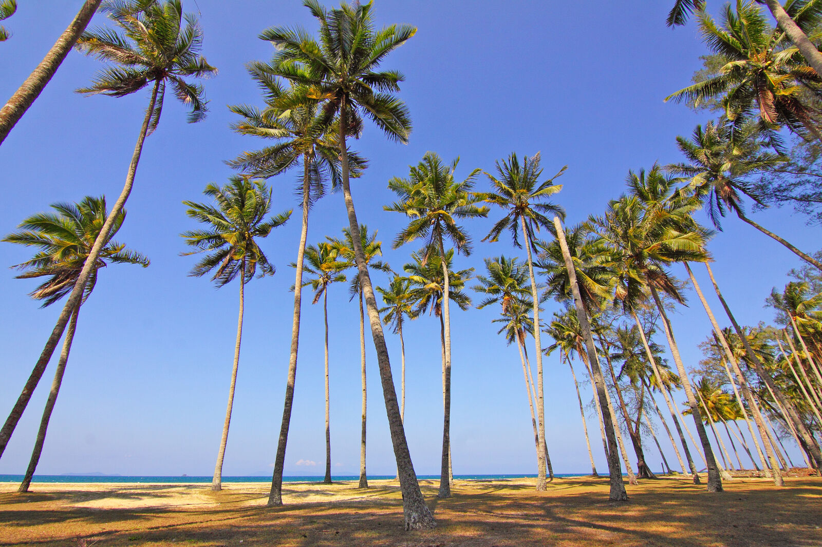Canon EOS 50D sample photo. Nature, sky, beach, ocean photography