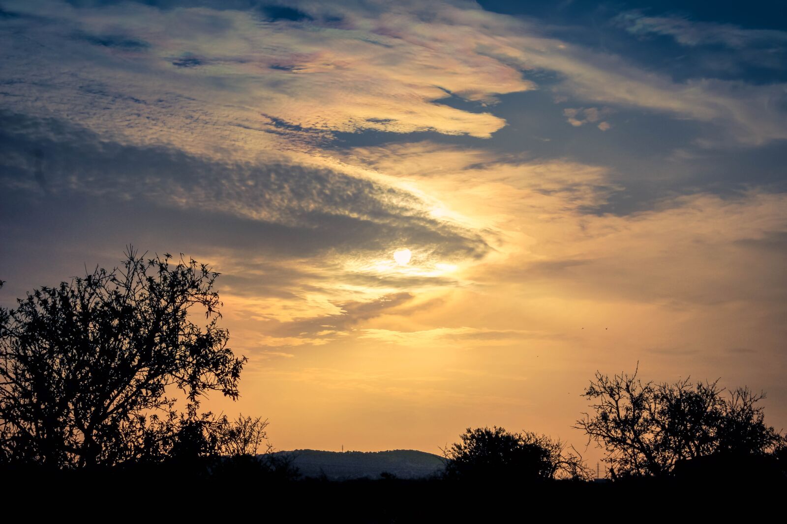 Canon EOS 100D (EOS Rebel SL1 / EOS Kiss X7) sample photo. Sunset, trees, sky photography