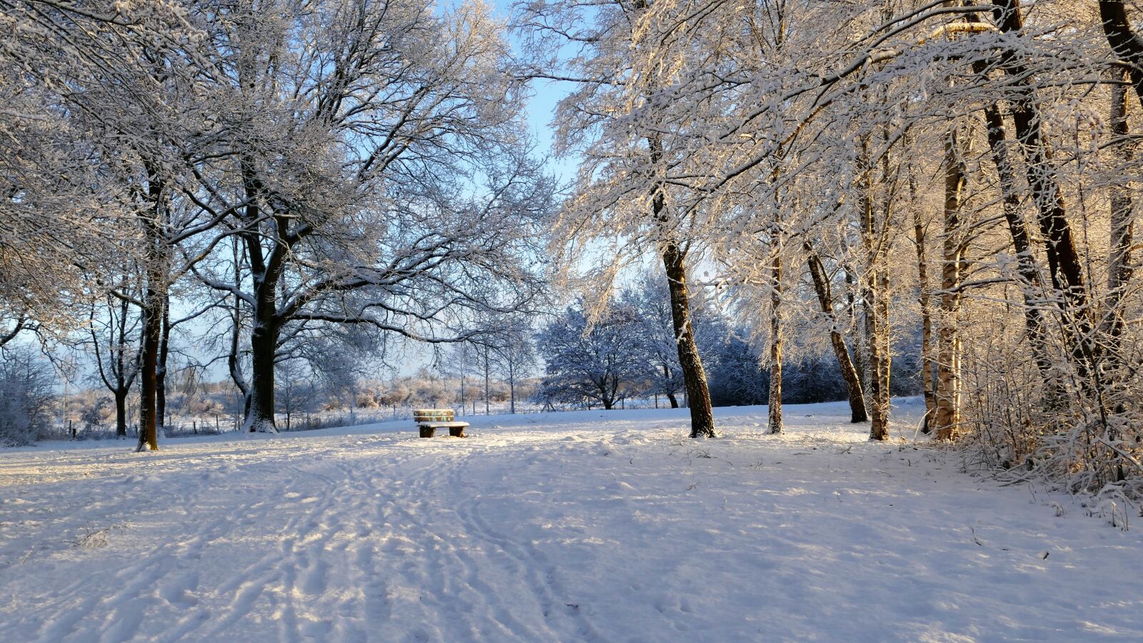 Panasonic Lumix DMC-FZ1000 sample photo. Snowland country, winterland country photography