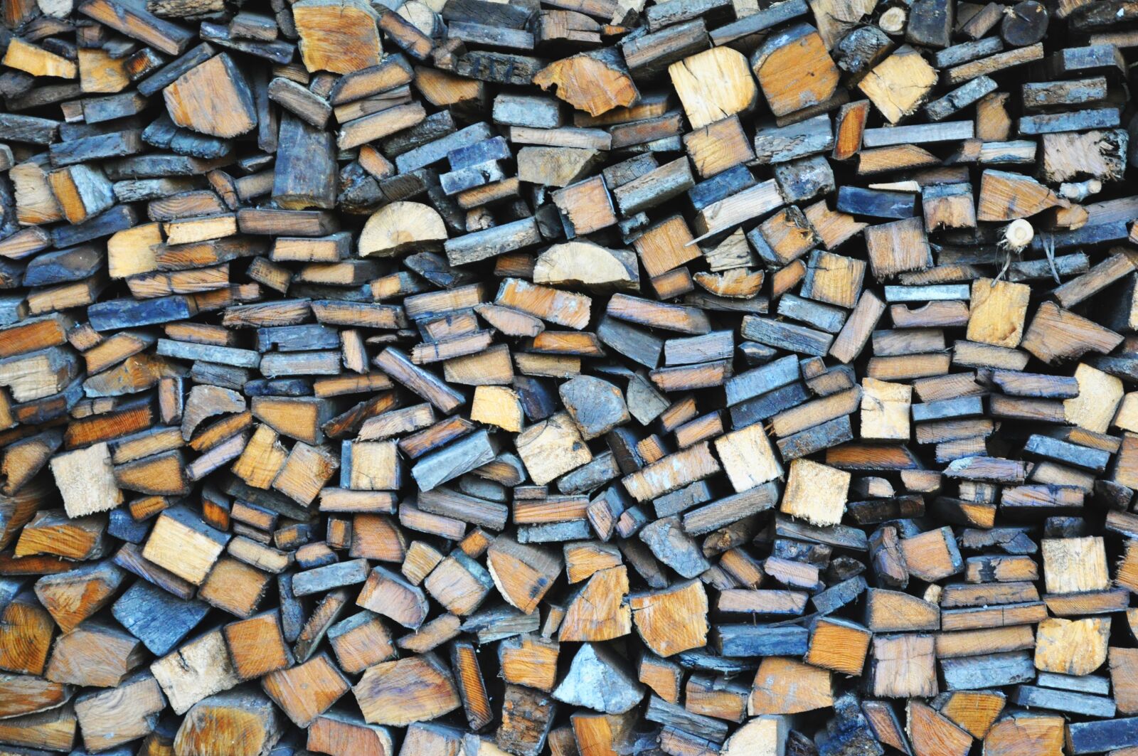 Nikon D90 sample photo. Wood, lena, texture photography