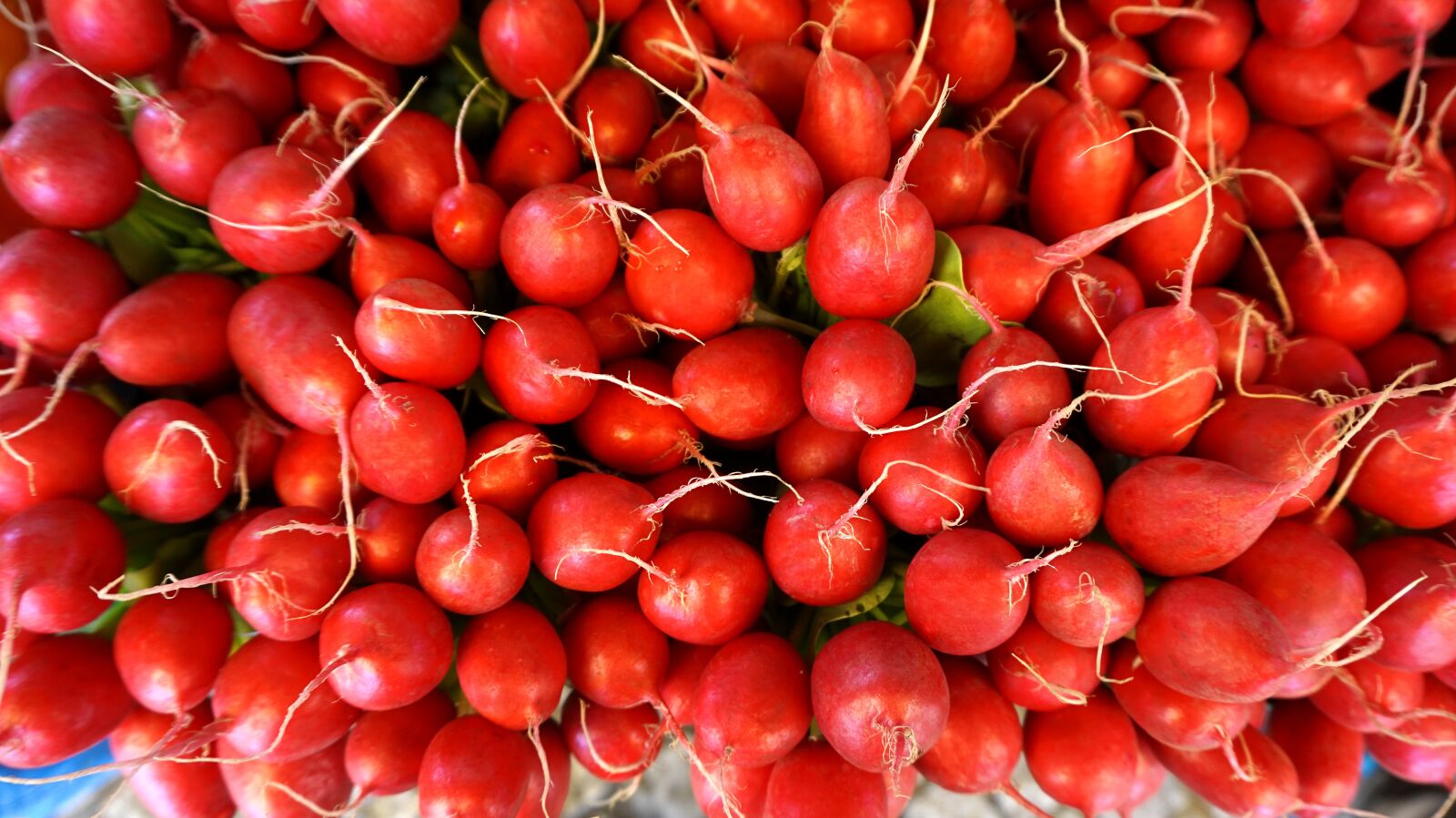 Sony Alpha a5000 (ILCE 5000) sample photo. Radishes, vegetables, food photography