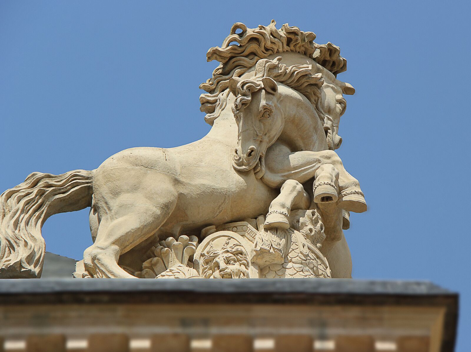 Canon EOS 550D (EOS Rebel T2i / EOS Kiss X4) sample photo. Horse, sculpture, paris photography