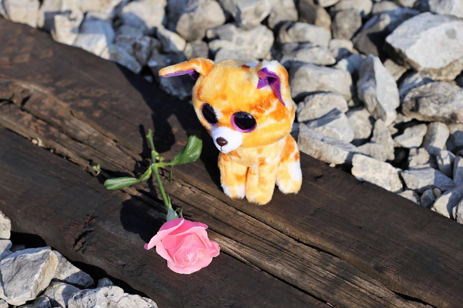 Canon EOS 6D + Canon EF 100mm F2.8 Macro USM sample photo. Stop children suicide, sad photography