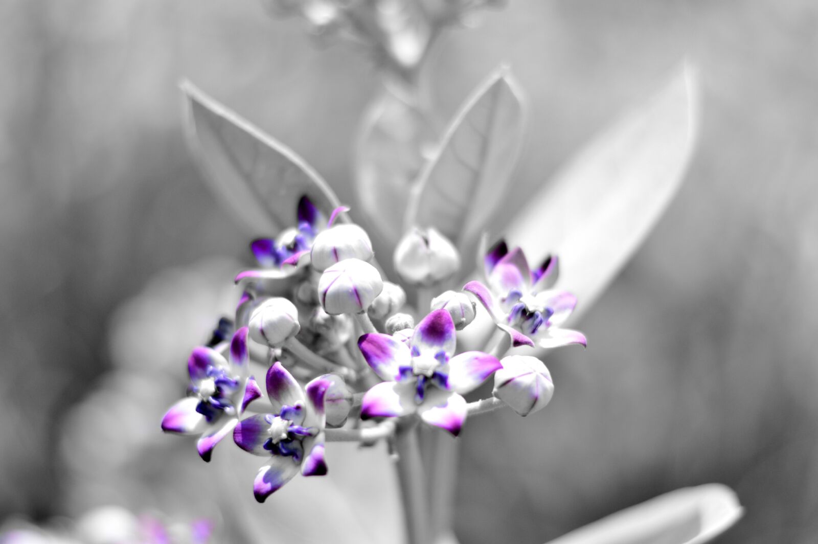 Nikon D3200 sample photo JzYR9WpNGq ExploreCams