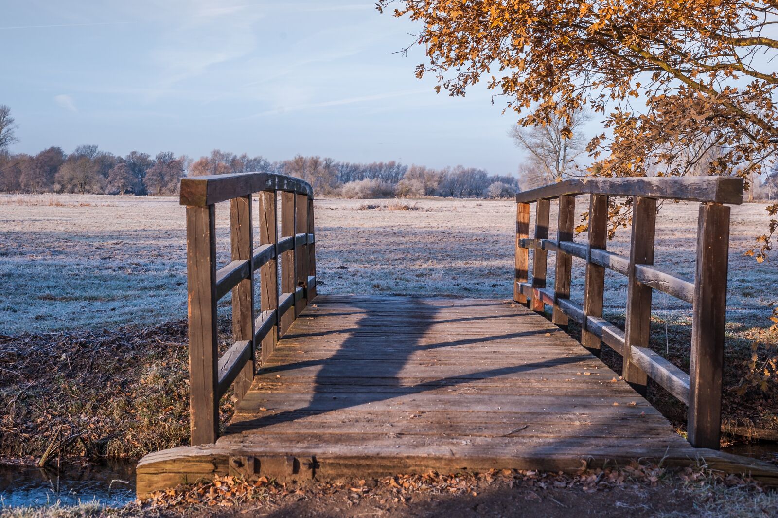 Nikon D700 sample photo. Wooden bridge, meadow, ripe photography