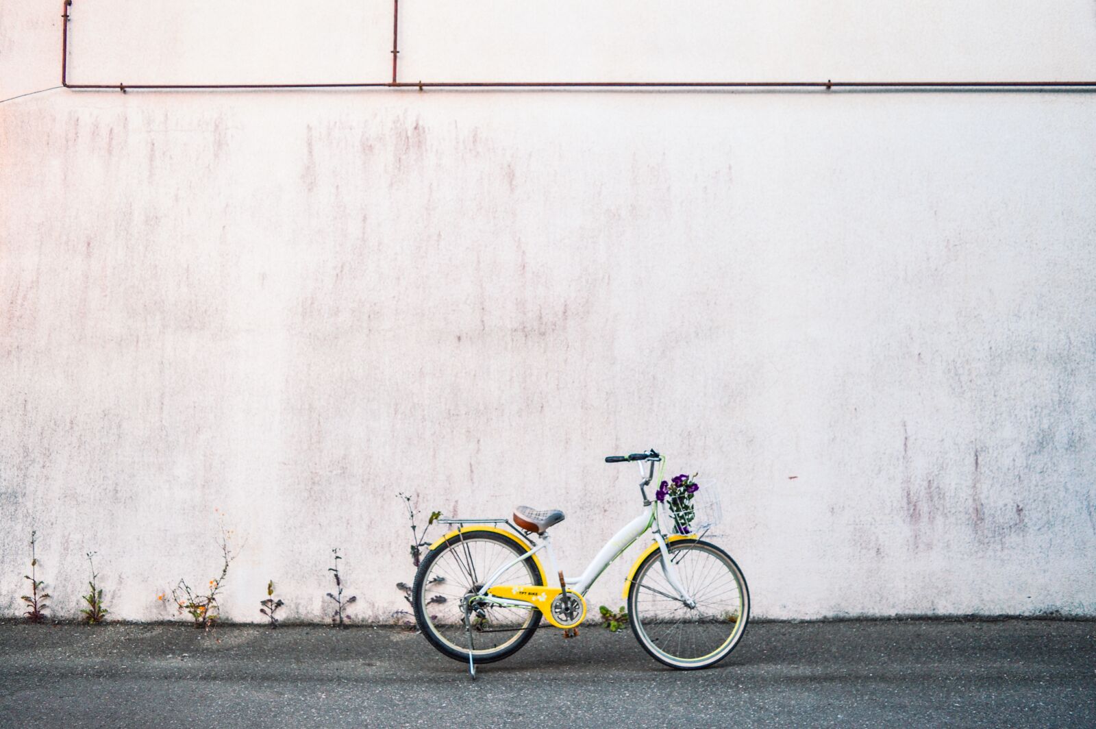 Nikon D3200 sample photo. Bike, bicycle, yellow photography
