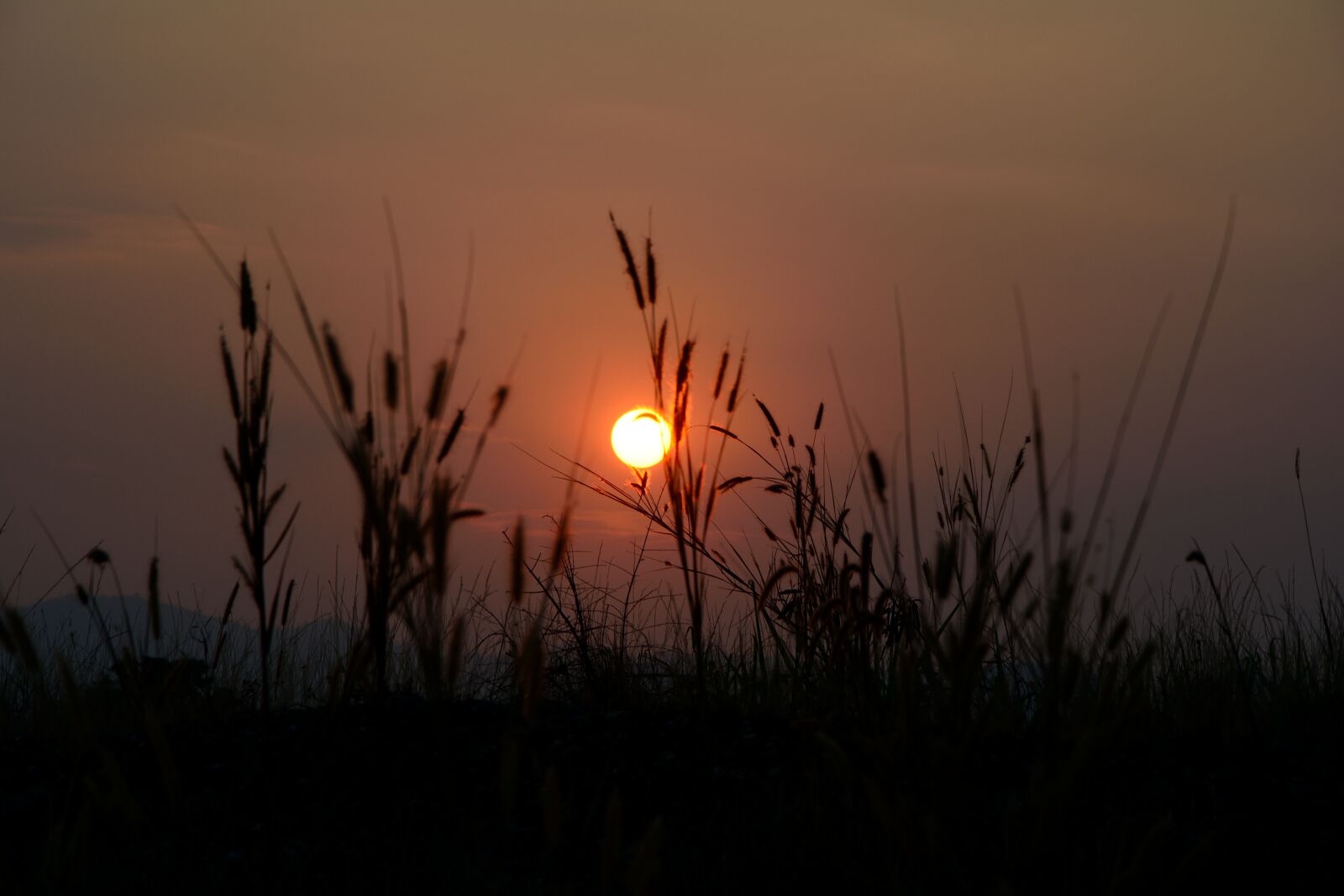 Nikon D5200 sample photo. Sunset, nature, thailand photography
