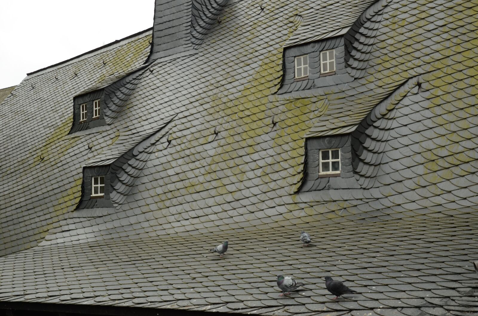 Nikon D7000 sample photo. Roof, roofing, lei photography