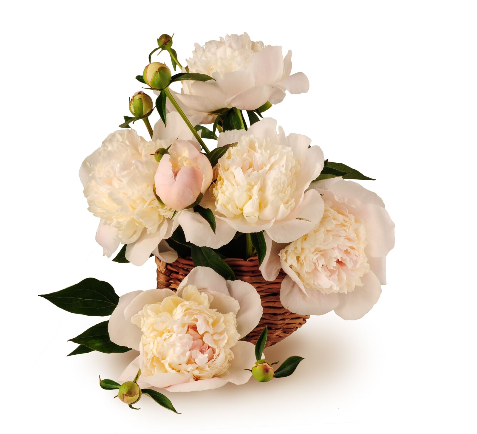 Nikon D5000 sample photo. Peonies, bouquet, basket photography