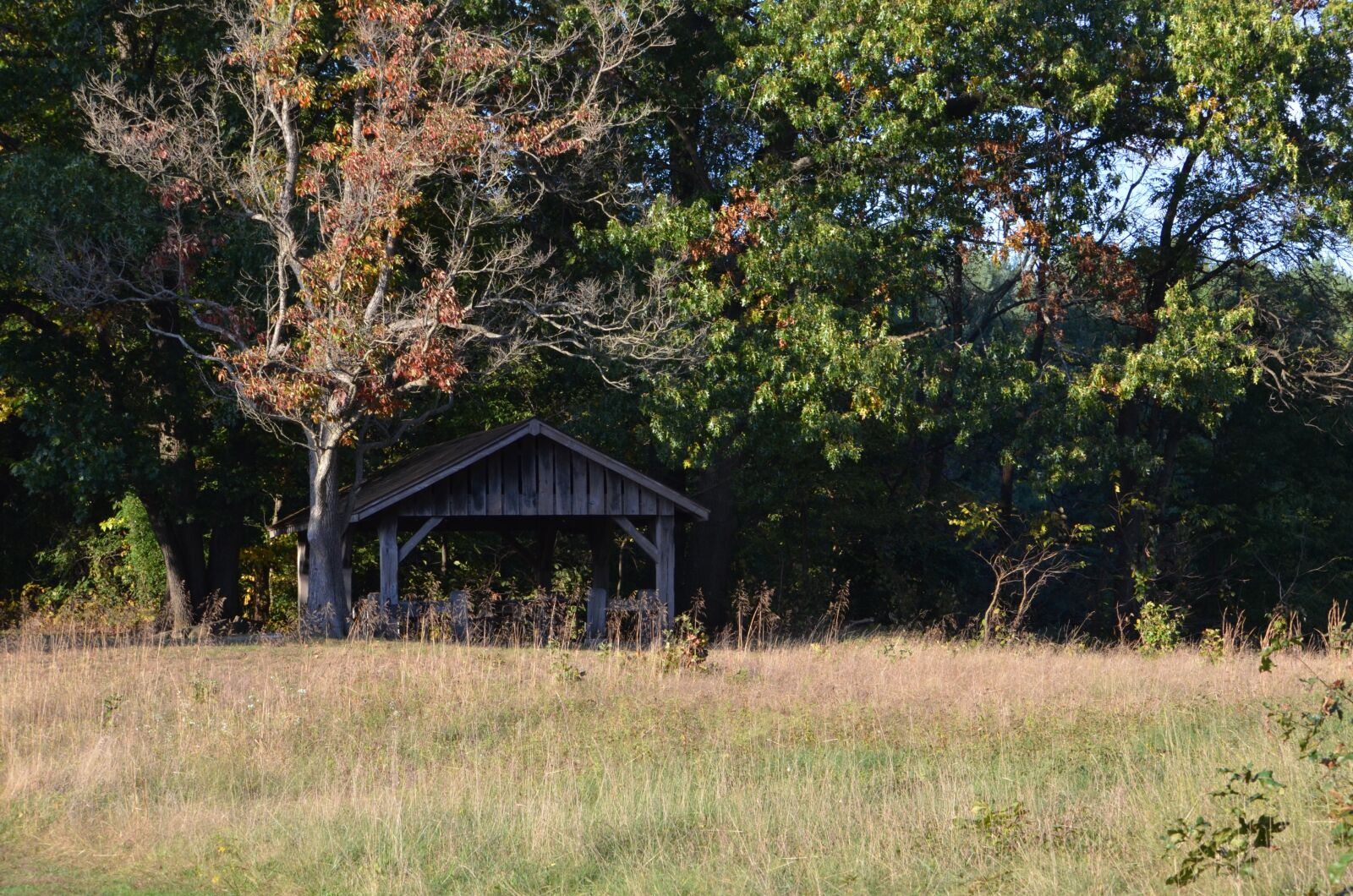 Nikon D7000 sample photo. Woods, rustic, shelter photography