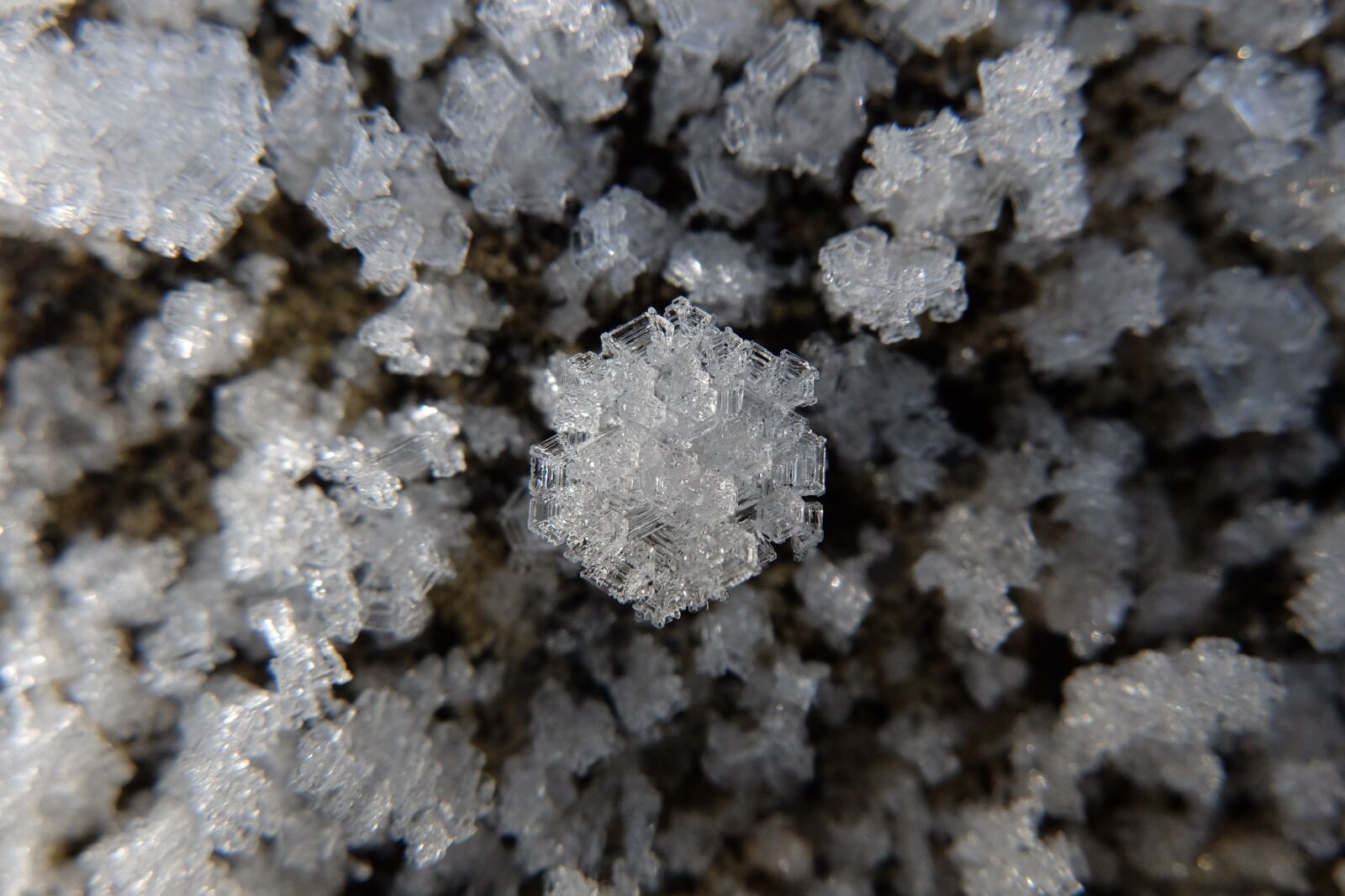 Fujifilm X30 sample photo. Frost, crystal, ice photography