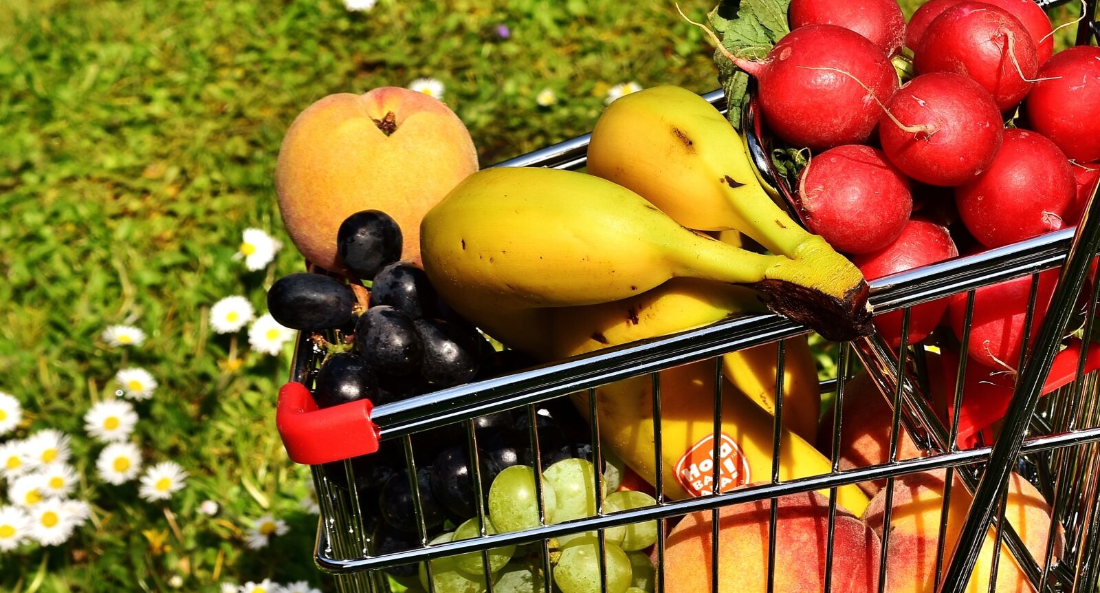 Nikon D7200 sample photo. Shopping cart, healthy shopping photography