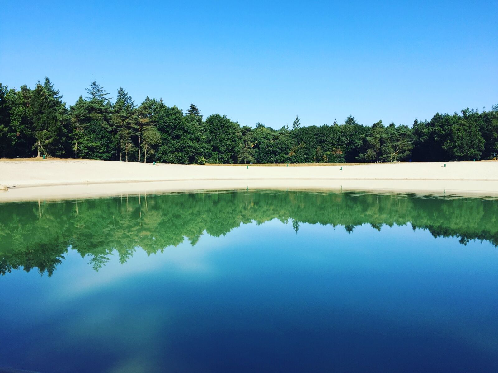 Apple iPhone 6 sample photo. More, forest, nature photography